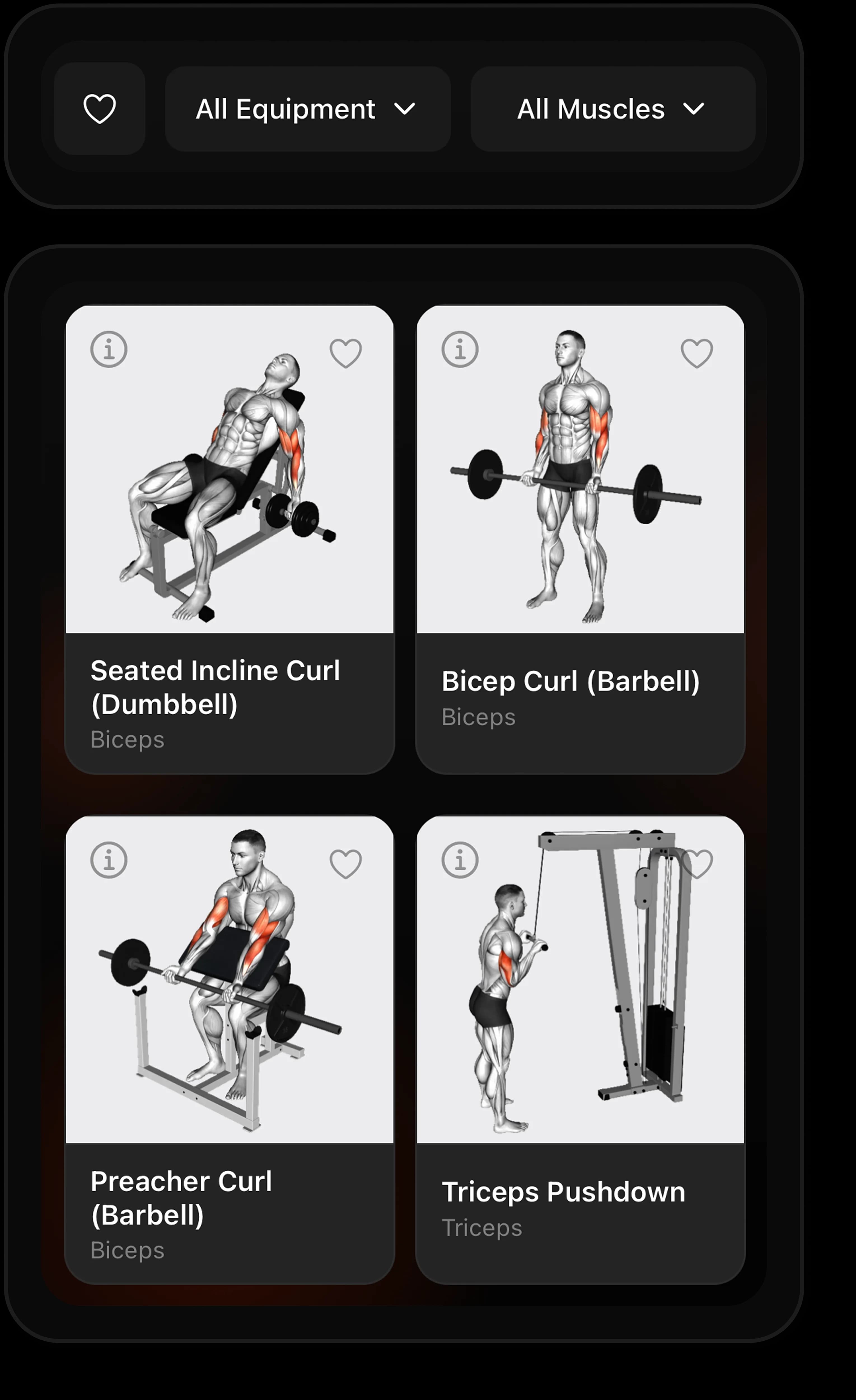 Grytt exercise library with anatomy cards