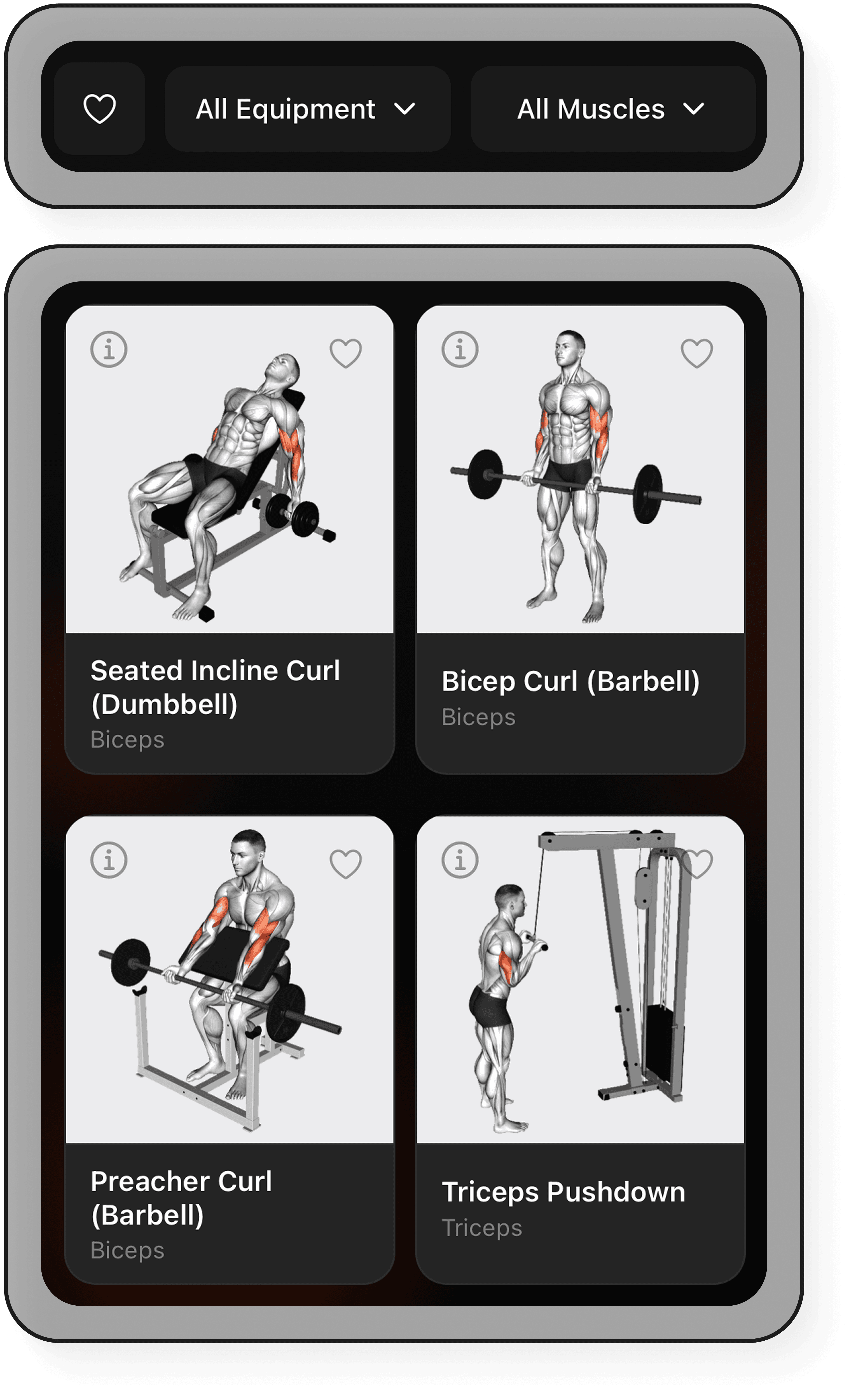 Grytt exercise library with anatomy cards